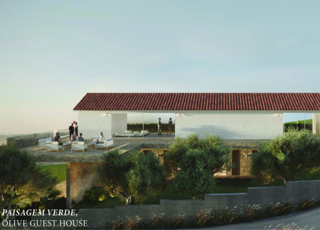 Local Stone Facades and Glass Walls in a Sustainable Olive Retreat  