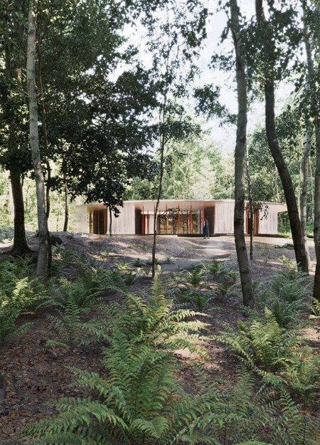 Cross-Laminated Timber and Transparent Design Elevating Wellness Retreat Amidst Nature