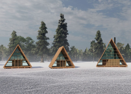 Triangular Structures of Scots Pine Nestled in a Tranquil Woodland Retreat  