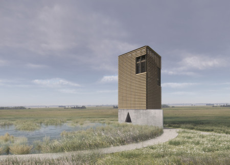 Triangular Formations of Larch and Concrete Amidst Natural Wetlands