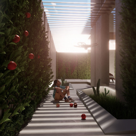 Cedar Cladding And Thermal Glass Envelop A Community-Centric Urban Oasis