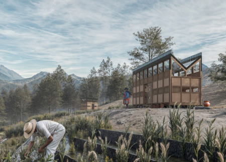 Subsurface Water Harvesting With Native Reeds and Flexible Living Modules