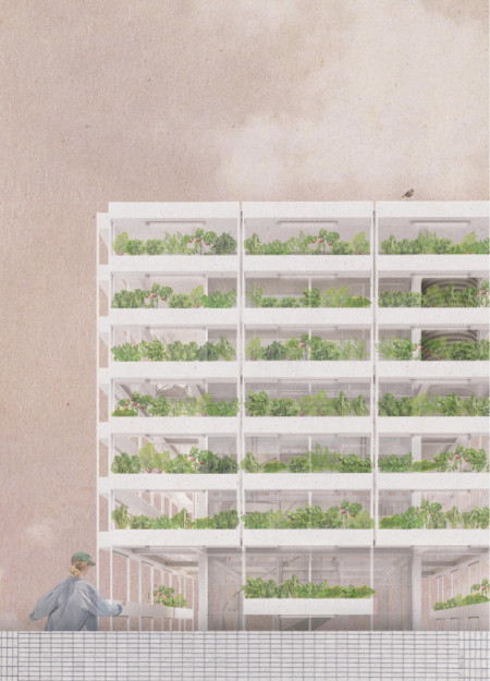 Charred Wooden Shingles and Cross-Laminated Timber Elevate Sustainable Community Spaces