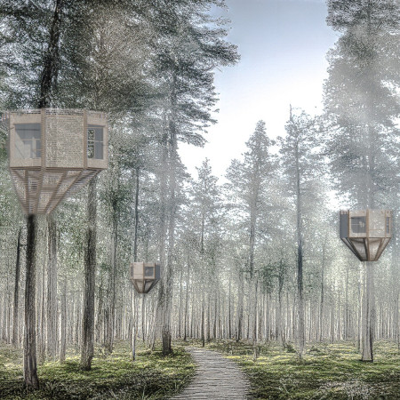 Charred Wooden Shingles and Cross-Laminated Timber Panels In a Community-Focused Space
