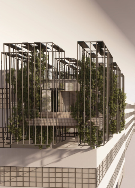 Charred Wood Facades and Cross-Laminated Timber Panels Define Sustainable Urban Living