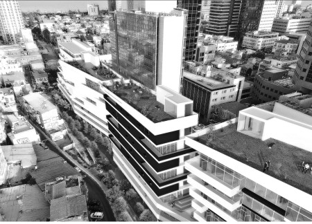 Charred Wooden Shingles and Cross-Laminated Timber Define a Sustainable Urban Habitat  