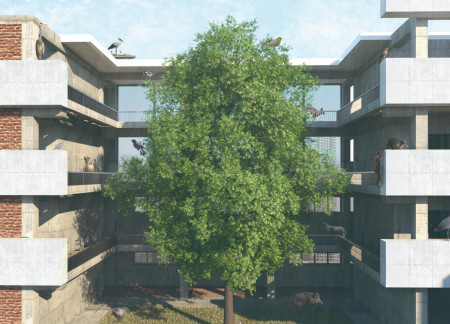 Charred Wooden Shingles and Cross-Laminated Timber Frames Enriching Community Spaces