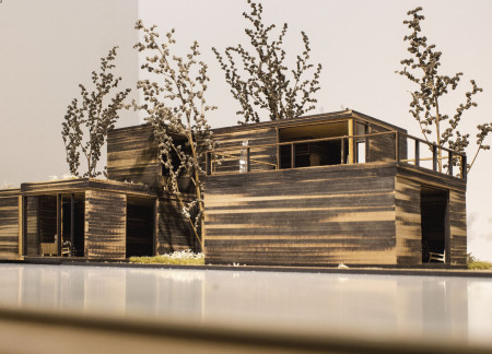 Charred Wooden Shingles and Natural Light Shape a Healing Centre for Lung Cancer Care  