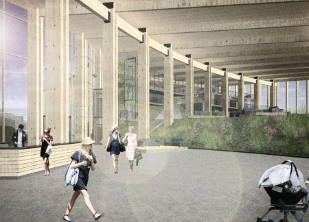 Curvilinear Spaces Crafted with Cross-Laminated Timber and Charred Shingles Integrating Community and Nature