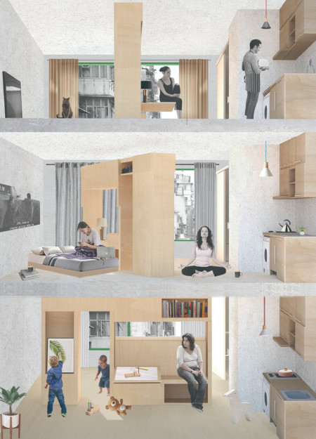 Transformable Living Spaces Enveloped in Plywood and Natural Light