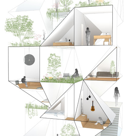 Charred Wooden Shingles and Cross-Laminated Timber Panels in Distinctive Octagonal Housing Design