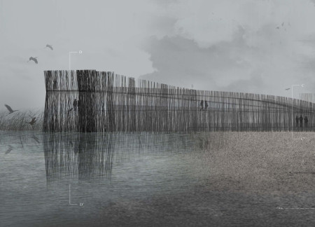 Charred Wood Shingles and Elevated Pathways Enhancing Wildlife Observation in Wetland Ecosystem