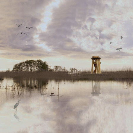 Lattice Structure of Cross-Laminated Timber Elevates Birdwatching Experience in Natural Reserve