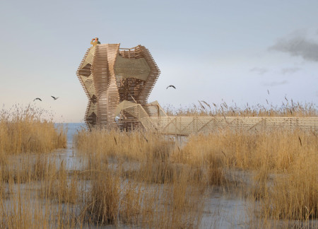 Bird Observation Tower Emphasizing Local Timber and Biophilic Design Principles