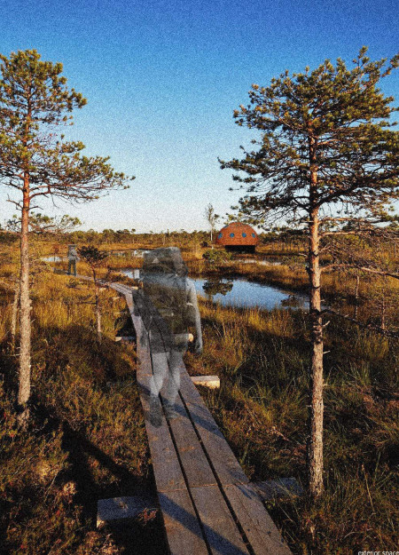 Circular Retreat Constructed with Elevated Timber Frames Surrounded by Natural Landscapes