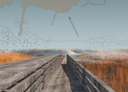Sustainable Alder Timber Structure Integrating Nature Observation and Community Engagement