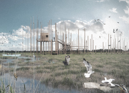 Biophilic Observation Tower Crafted From Charred Wooden Shingles and Timber in Wetland Sanctuary