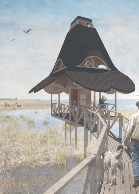 Charred Wooden Shingles and Cross-Laminated Timber Create a Thoughtful Bird Observation Tower