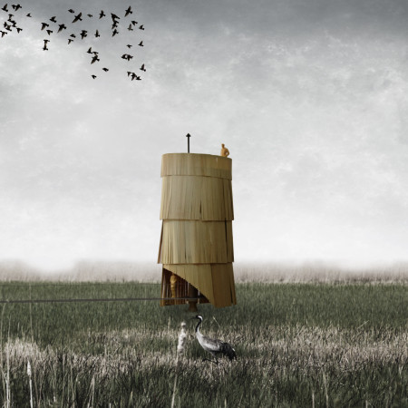 Feathered Nest Constructed With Sustainable Wood Envelops Nature For Elevated Observation  