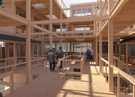 Cross-Laminated Timber Housing Harmonized with Communal Courtyards in Rural Context