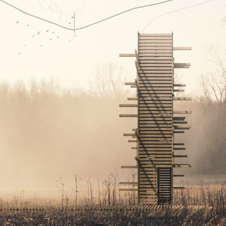 Timber Nesting Structure Featuring Cross-Laminated Panels for Elevated Bird Observation