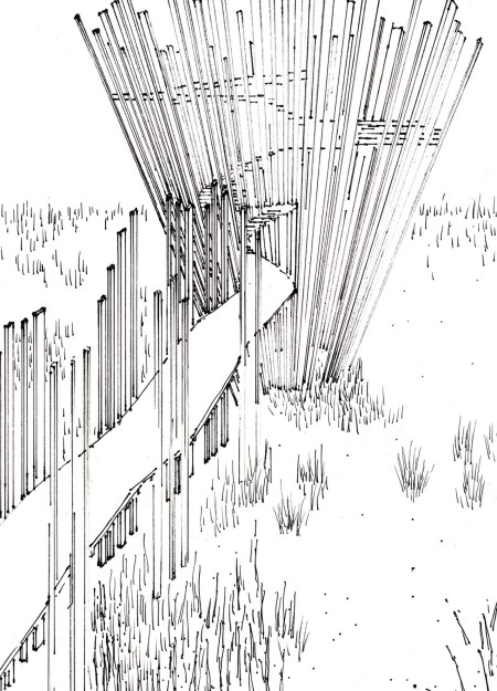 Asymmetrical Ramp in Charred Timber Enhances Birdwatching Experience Within Natural Habitat