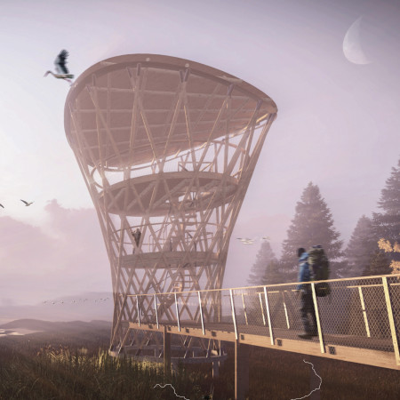 Hyperboloid Framework Constructed With Sustainable Wood for Elevated Nature Observation  