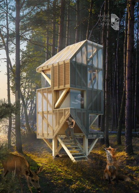 Sustainable retreat featuring cross-laminated timber and charred wood construction in a forested landscape