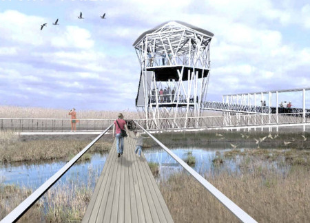Charred Wooden Shingles Enveloping A Natural Observation Tower For Birdwatching