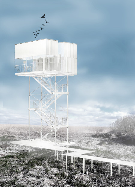 Translucent Glass and Steel Structure Elevating Birdwatching Experiences in Natural Surroundings
