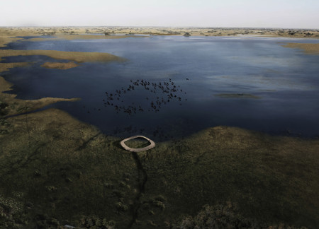 Curvilinear Observation Deck Crafted from Charred Wood and Steel Framework Overlooking Wetlands