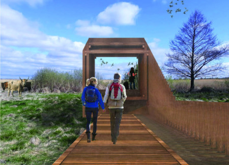 Curvilinear Timber Pavilion Elevated Over Wetlands for Bird Observation