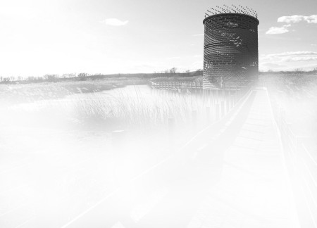 Cylindrical Structure Crafted from Sustainable Wood and Glass for Nature Observation