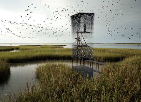 Charred Wooden Shingles Enveloping a Viewing Tower Elevated Over Wetlands