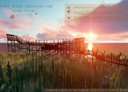 Charred Wooden Shingles and Local Pine Elevate A Bird Observation Platform Within Wetland Habitat