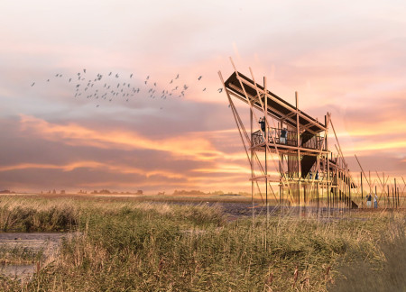 Elevated Walkway Constructed From Natural Wood and Glass for Bird Observation