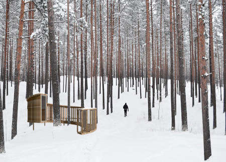 Residential retreat featuring cross-laminated timber and charred wood shingles in a forest setting