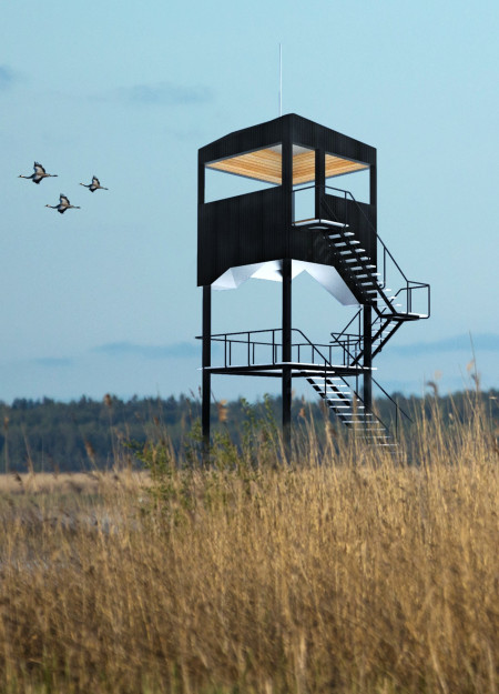 Charred Timber Canopy Overlooking Wetlands in a Community Observation Tower