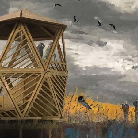 Elevated Viewing Pods Crafted with Pressure-Treated Wood for Birdwatching in a Natural Wetland Environment  