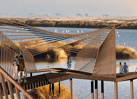 Elevated Pathways of Natural Pine and Organic Screens Within a Marsh Ecosystem