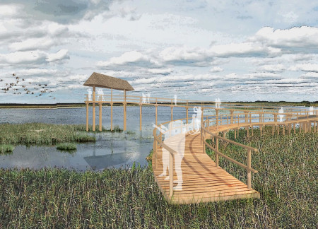 Treated Timber Observation Tower Enhancing Inclusivity Amid Pape Wetlands