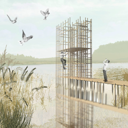 Reclaimed Timber Framework Elevating Wildlife Observation in Sustainable Wetland Design  