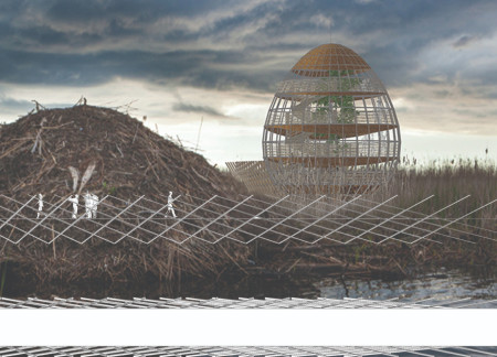 Hollow-Core Structure With Natural Pine And Thatch Reflecting A Close Connection To Local Avian Habitat