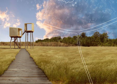 Elevated Observation Tower Crafted from Cross-Laminated Timber and Steel Columns for Wildlife Engagement