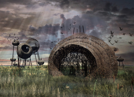 Nest-Like Pods Constructed With Woven Elements and Steel Integrate Into Wetland Habitat