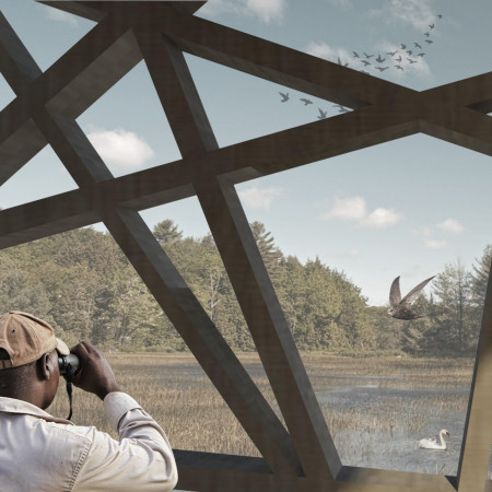 Trellis-Structured Observation Hub Crafted from Wood and Concrete Materials in the Heart of Wetlands