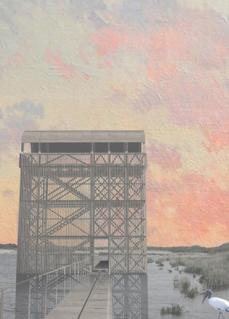 Charred Timber Canopy Framing A Nature Observation Platform For Avian Exploration