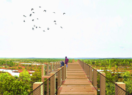 Elevated Wetland Pathways Constructed with Sustainable Pine and Concrete Foundations  