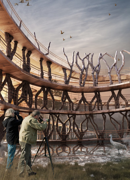 Cross-Laminated Timber Observation Structure Embracing Biophilic Design in Natural Landscapes