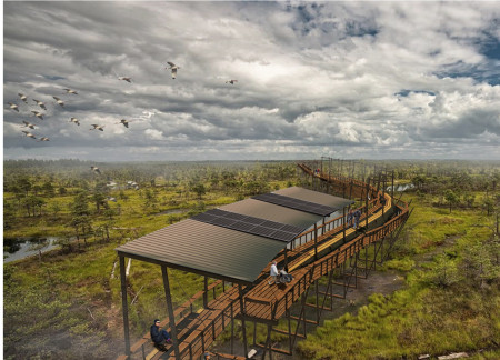 Charred Wooden Shingles and Biophilic Design in a Contemporary Community Hub